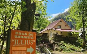 Casa De Vacanta Julius